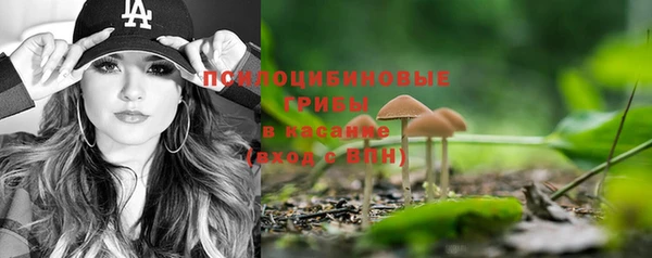 прущие грибы Киреевск