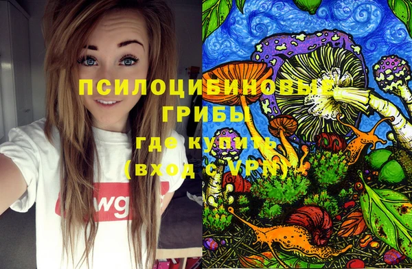 MDMA Козловка